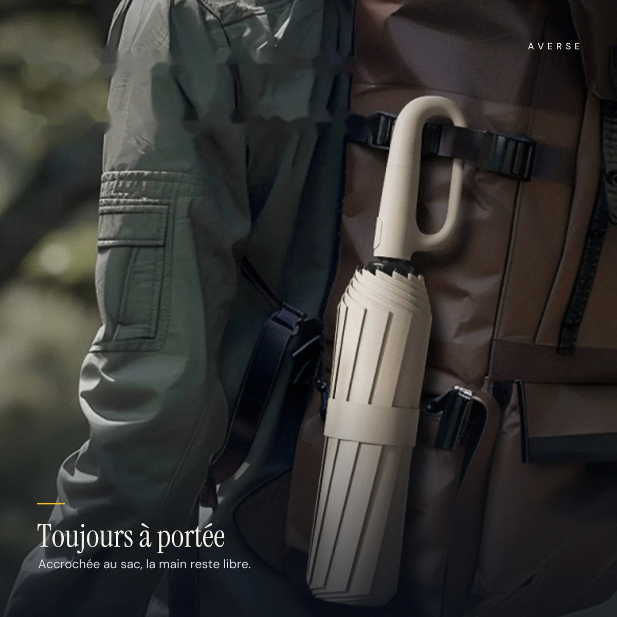 Mousqueton — Hors coloris — dimensions