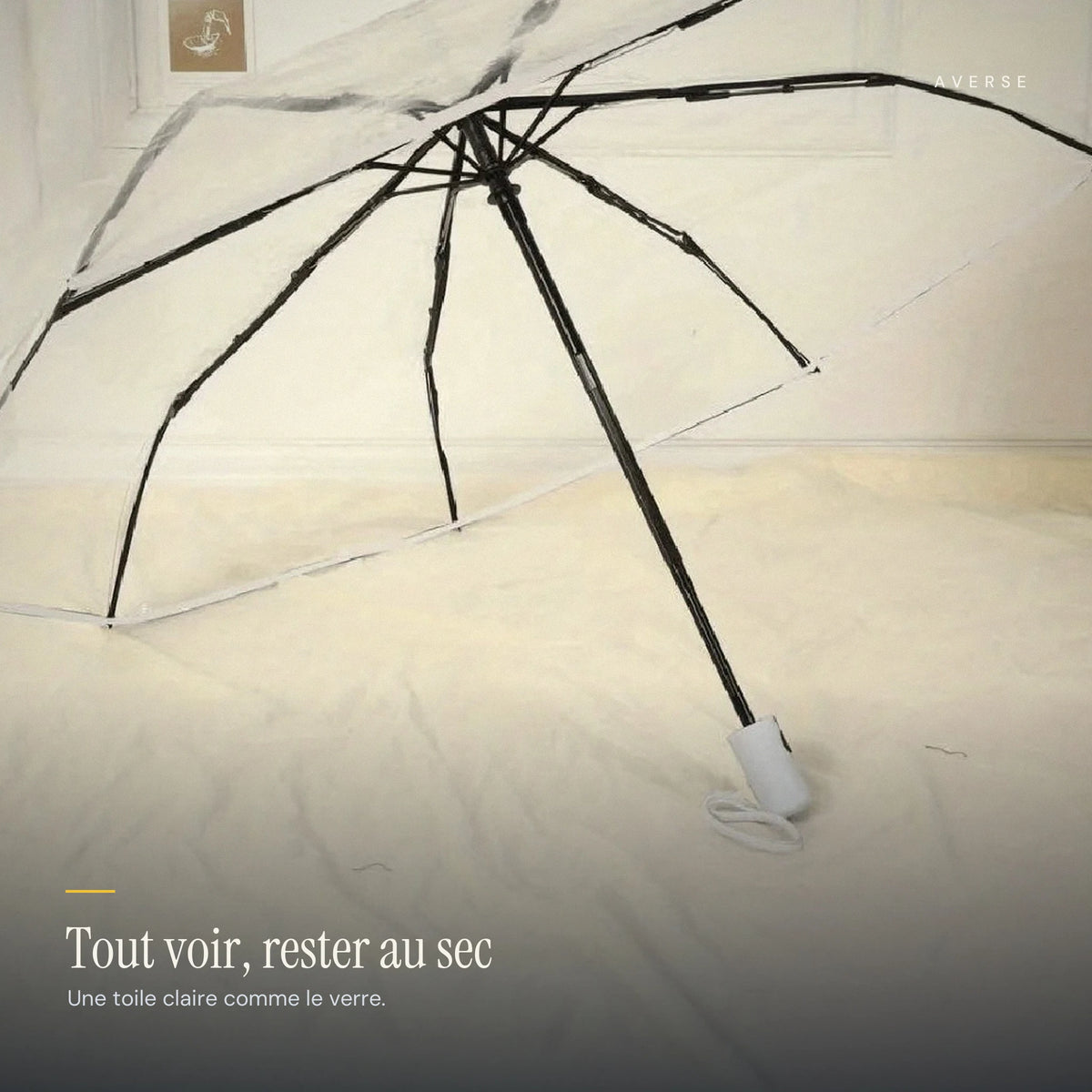 Transparent — Hors coloris — dimensions