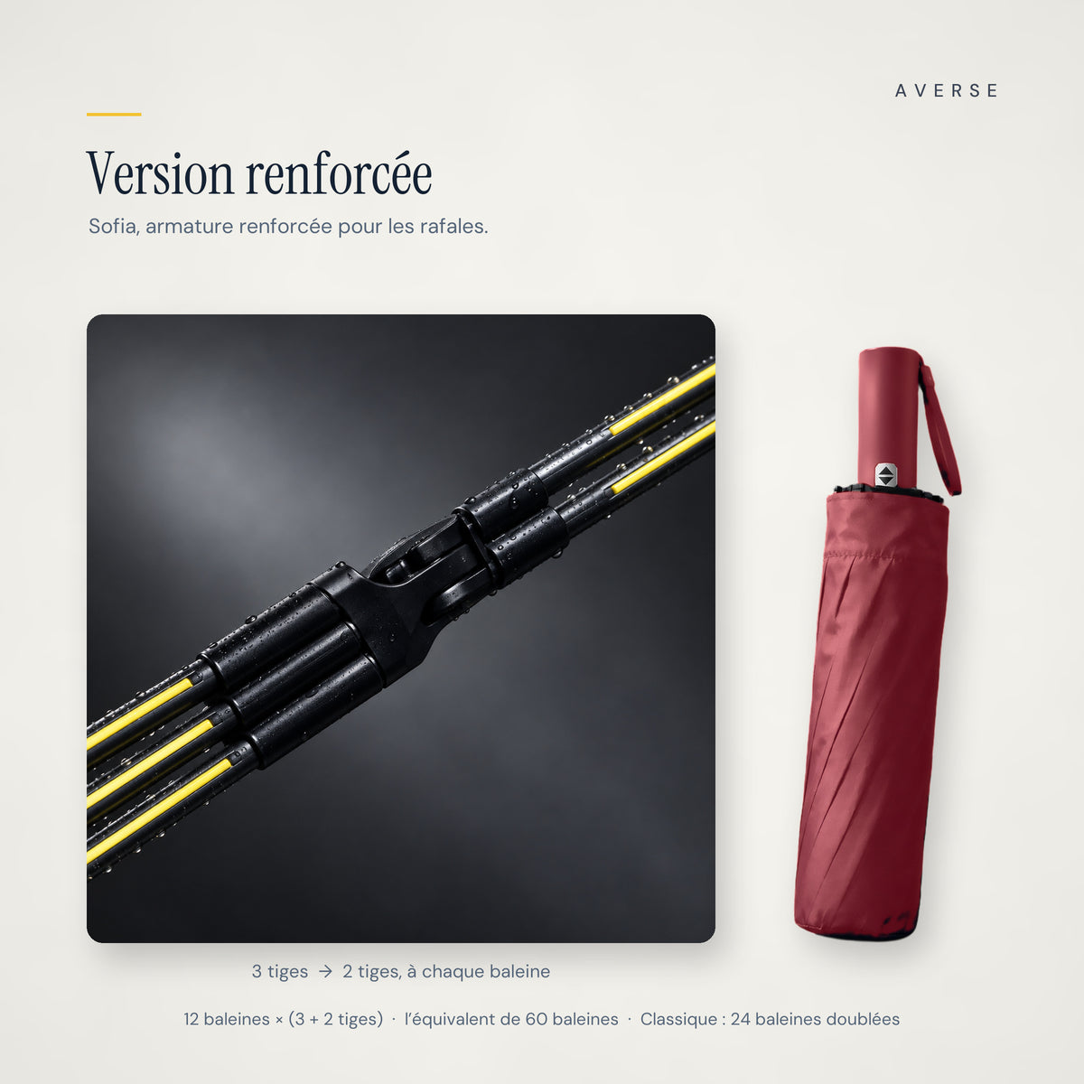 Sofia — Bordeaux — renforcé